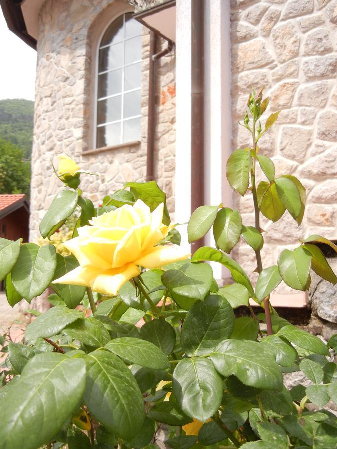 Villa Laurea Lovran Buitenkant foto